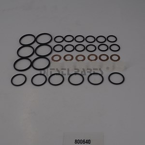 [Hot Item] 800640 Seal Repair Kits for Diesel Injection Pumps/Ve Pump-Diesel Fuel Injector Pump Rebuild Kit