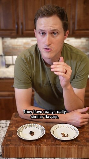 Gyromitra week continues with a taste test of morels and Gyromitra montana! I've been trying to find snowbank Gyromitra for a few years now but always seem to miss the timing window or go when and where they aren't fruiting! This year, when Feral Foraging was in town we finally found some and we just so happened to pick morels on the same day at a lower elevation! So a taste comparison was in order. I was pretty surprised to find out that I preferred the Gyromitra for both flavor and texture! Th