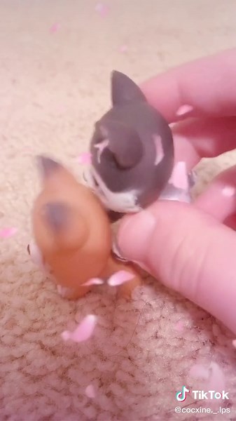 POV: you walk into your hot step sister changing clothes