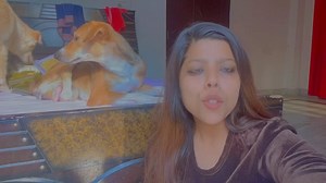 Simran STRAY Foundation on Reels