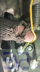 JCB 3CX. Why did the alternator D+ wire burn out? How could this even happen? Any ideas?