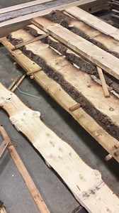 11K views · 65 reactions | Milling 2x4s and 2x6s for Lake Agassiz Habitat for Humanity. These all came out of the Fargo Park District Christmas Trees !! | Dakota Timber Company | Facebook