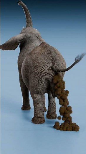 Cat Pooping vs Godzilla Pooping