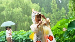 24K views · 16 reactions |  Rainy days are a great time to admire lotus flowers! 覆 Click on the video to see the enchanting beauty of lotus blossoms in #Dongying. They’re a mesmerizing sight!  #BeautifulDongying | Dongying of China | Facebook