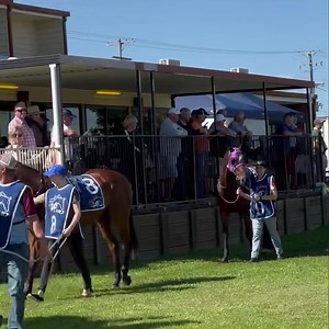 Race 4 ready  | Warwick Turf Club Inc | Facebook