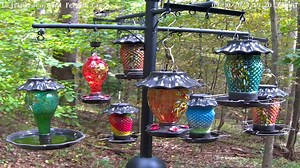 We had a rose-breasted grosbeak show up on the LujiiGarden feeder cam this afternoon. We had a high migration last night with over 5.3 million birds moving in our county. This is probably one of the stop overs. See the LujiiCam here: https://pixcams.com/lujiigarden-bird-feeder-cam/ #LujiiGarden #birdfeeder #birdmigration | PixCams