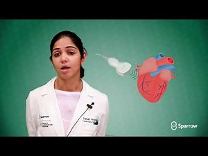 Heart Education -- Echocardiogram