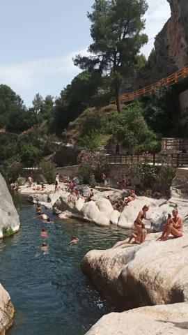 Melhores vídeos de Naturismo