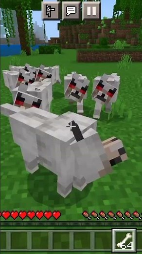 #minecraft wolf Attack 😂😂😂
