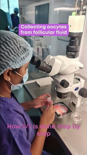 IVF: How is IVF Done Step by Step