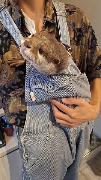 おいもちゃんのかわいいガン見シーン