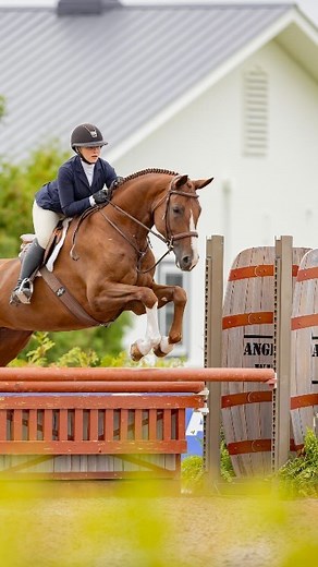 Secret Society, 2016, 17.2 hand, Hanoverian Mare She’s champed 3 times in childrens this season, won medal 4x, champed in derby, won or gets high piece of the u/s. 6th nationally in 3fts first year as a division horse. Will hack on the buckle anywhere alone or w a group. Sweetheart in and out of the barn. Always looks through the bridle with lovely expression, naturally uphill. Located in Ontario ➡️ Find on www.bigeq.com 🔎 Quick Search by horse name: www.bigeq.com/search Want your horse feature