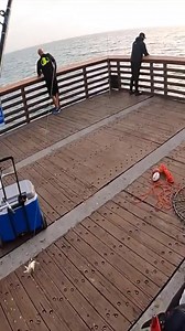 Pompano_fishing on Reels