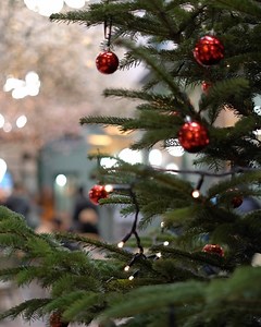 Coffee Collective on Reels