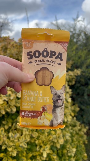 4 comments | The tastiest way to keep your pups teeth clean!醴 Have...