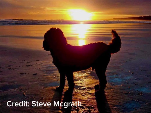 28 reactions | Fantastic shots sent in by Steve Mcgrath | Shields Gazette | Facebook