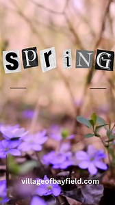 14 reactions | SPRING into BAYFIELD this weekend!! Come see what’s new and improved! Villageofbayfield.com. #bayfieldontario #villageofbayfield #thingstodoinbayfield #bluewatermunicipality | Bayfield & Area Chamber of Commerce | Facebook