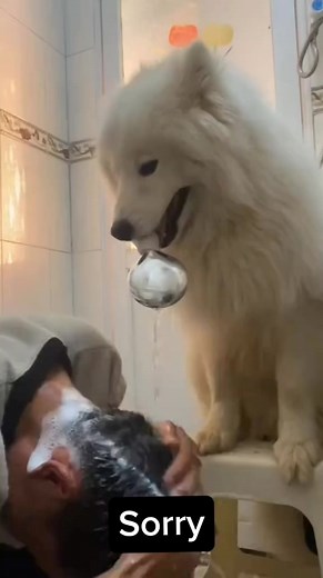 😄😄😝😝🤪🤪😜😜 | Hoàng Hậu Generali