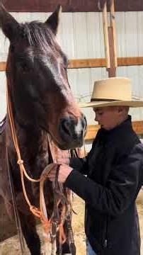 How to bridle a horse #horse