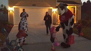 12 reactions | This little girl was so sweet, she loved seeing the Chick-fil-A Cow on Halloween. | Chick-fil-A Mandarin | Facebook