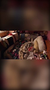 What a HORRIFIC sight! 冷 #CleaningJobs #CleaningHacks #cleaningtips #hoarders #hoarding #cleanupcrew | Filth - Extreme Cleaning | Facebook