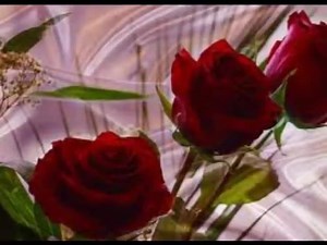 100K views · 1.4K reactions | Grupo liberacion HOY feliz y excelente dia para todos siguienos para ver mas videos | RS Videos y musica de oaxaca | Facebook