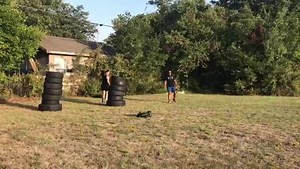 Another set of wild animals on today’s finisher. | Beast Camp Training | Facebook