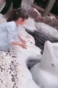 Beluga are one of the most cutest animal ever 🐬😍🥰 | RC PLANE GUYS