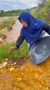 Wow, this is extraordinary, wild aquatic plants contain thousands, even millions, of pure gold. #goldrush #ohmygod #goldnugget #goldhunting #PUREGOLD #goldriver #goldtreasure #golddigging #golddiscovery #goldprospecting #goldpanning #GoldInvestment | Gunawan Satria