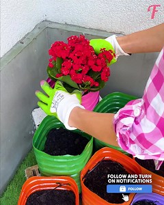 54K views · 161 reactions | Woman makes beautiful flower pots by reusing plasic containers. | Fabiosa Digest | Facebook
