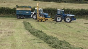 1.2K views · 68 reactions | RM Agriphotos on Reels | Facebook