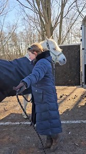 Vandaag 10-1-2024, had ik een trailertraining met Shakespeare. Paar weken geleden ben ik geweest voor een trailertraining en dat ging toen goed. Maar alleen een paard laden dat heel snel afgeleid is blijft lastig, en stond Eve als nog te emmeren met haar paard wat uiteindelijk wel lukte. Vandaag een andere methode de klep gebruiken als blinde muur, maar dan moet Shakespeare eerst goed door hebben wat de bedoeling is. We hebben op vreemd terrein geoefend en op zijn eigen stal. En dit alles op eig