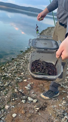 Bubber Takım ile Yayın Avı Videolarımızın uzun hali için bizi YouTube den takip etmeyi unutmayın dostlar !!! #catfishing #pikefishing #zander #pearch #carpfishing #sazanavi #balikavi #kamp #olta #balikcilik #baraj #nehir #misina #onecikarr #suluk #carpfishinguk #sakarya54 #kedibaligi #suluk #solucan #misir #balikci #misina #samandira #hamur #testere #kesfettey #kampciyiz #festivals #kizilirmak #dicle #terkos | Misina Tw