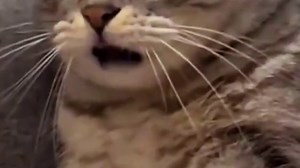 发行人+5,27（23）_68384476cc65c