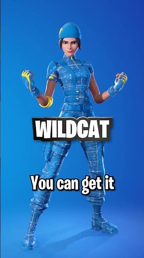 Fortnite's Most EXPENSIVE Skins!