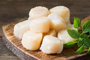 Is it OK for scallops to smell fishy? [2025] | QAQooking.wiki