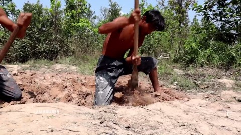 A zero-cost forest pool park that outshines million-dollar luxury resorts built by hands!