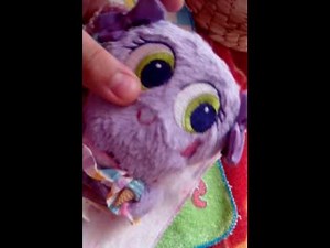 Revisión de sigolishius palanqueta