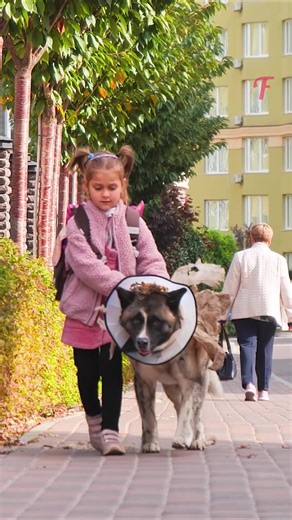 Girl Loves Stray Dog, Helps Groom & Bring Home | Fabiosa Daily