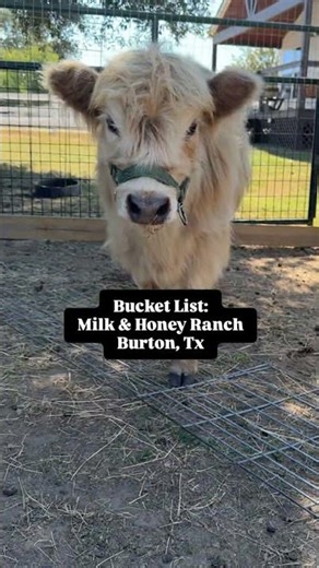 Bucket List: Milk & Honey Ranch (Burton, Tx)
