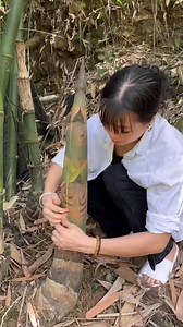 Artisans in the bamboo forest Traditional bamboo harvesting techniques revealed #reelsviralfb #reelstrending #reelsvidoe #reel #reels | 𝑩𝒆𝒍𝒍𝒂 𝑨𝒅𝒂𝒎𝒓𝒐𝒔𝒆
