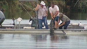 Alligator bites off arm of swimming Florida teen (video)