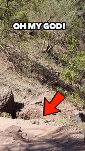 Fake Snake Prank | Fake Pranks TV