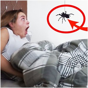 Hilarious tarantula prank | MetDaan DIY