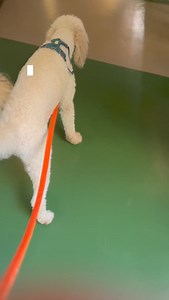 Milk N Cooks on Reels