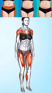 Easy Workout | Full Body Exercises 💪#workoutbuddy #homeworkout #fullbodyworkout | Workout Buddy by MDR