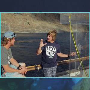 54K views · 111 reactions | Behold, the GOAT of Shark Week, Jeff Kurr.  Tune into The Daily Bite for more ----> https://bit.ly/2KzzNI0 | Shark Week | Facebook