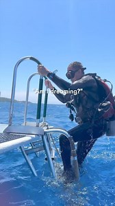 Explore reefs, shipwrecks, night dives, and drift dives with our diving packages! Enjoy three dives daily: two in the morning, one in the afternoon or evening. Safety and fun guaranteed with industry-recognized standards. 🐠🌊 #mayandivers #dive #padi #diving #divers | Mayan Princess Beach & Dive Resort