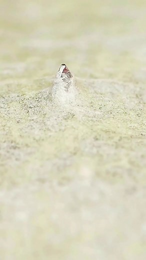 Injecting syringe 💉 vs Papper Tape, close up short, Macro photography voice-controlled decompression video relaxation and sleep aid #syringe #pappertape #syringechispticclosupshort #decompressvideo #unwindandrelax #lesbian #intercepting #stressreliefvideos #banana #TopFans #microcosm #injecting #syringe #macrophotography #removingcombstick #voicecontrolledsleepaid #straw #satisfying #decompressandheal #viral #colorfull #decompressandhelpsleep #closupshot #microcosm #StressReliefVideos #foryoupa