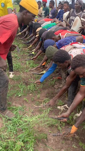 This farming group is advance one, they even have flag? Farming make easier! #agriculturelife #agriculture #agribusiness #agritech❤️❤️❤️ | Tampuli Zugu